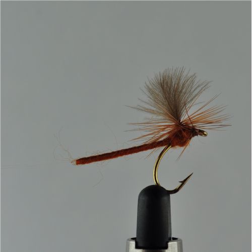 DRY1212 - Cdc Mayfly Extended Body - Str.10<br>