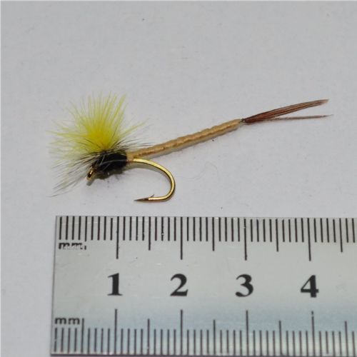DRY1222 - CDC Mayfly - Str.10<br>