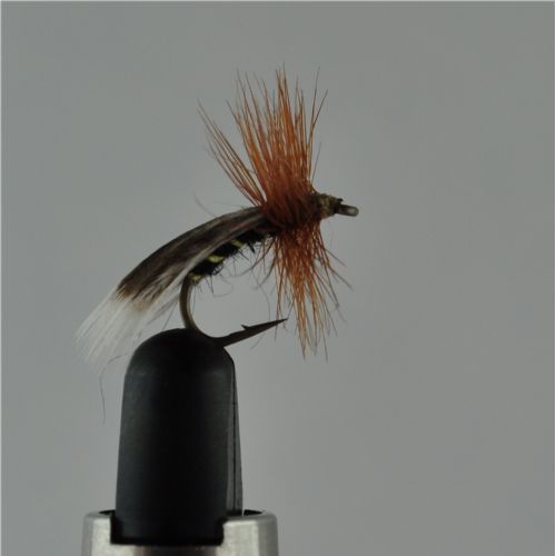 DRY1232 - Europa 12 - Str.14<br>