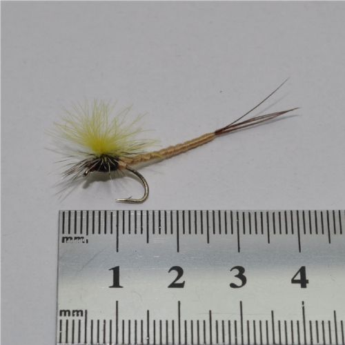 DRY1234 - CDC Mayfly - Str.12<br>
