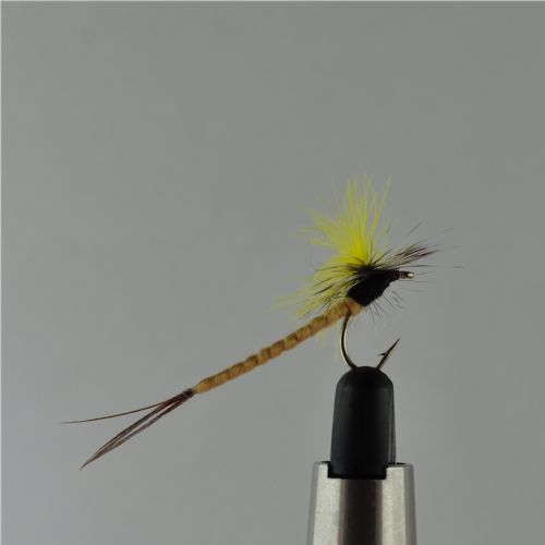 DRY1234 - CDC Mayfly - Str.12<br>