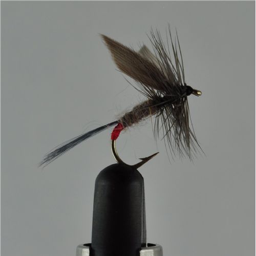 DRY1252 - Iron Blue Dun - Str.12<br>