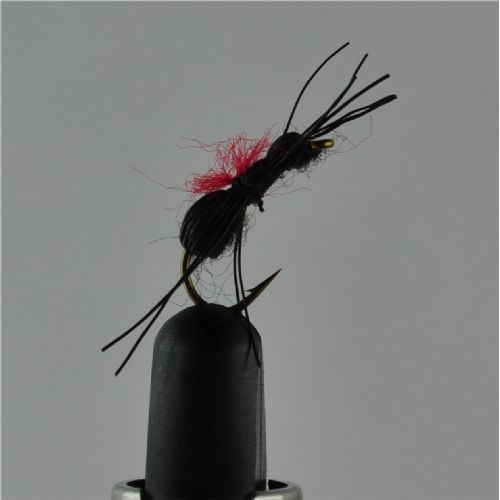 DRY1261 - Carpenter ant - Str.14<br>