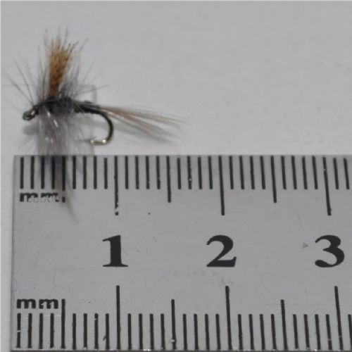 DRY1322 - Gordon Quill - Str.16<br>