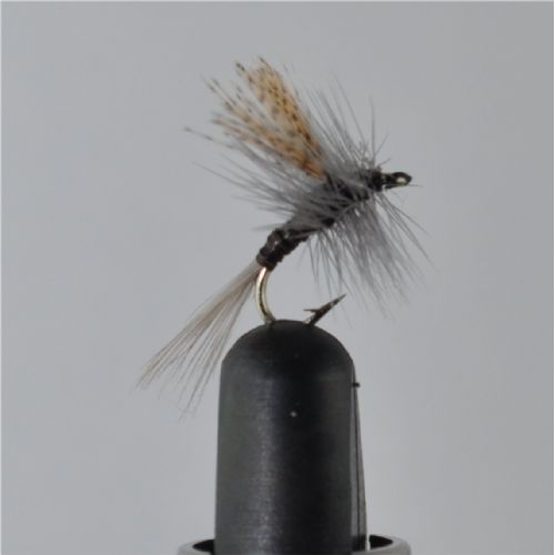 DRY1322 - Gordon Quill - Str.16<br>
