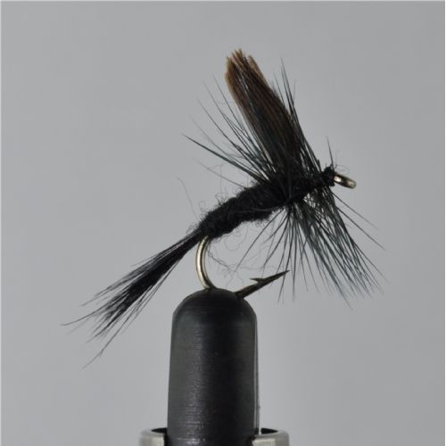 DRY1331 - Black Gnat - Str.12<br>