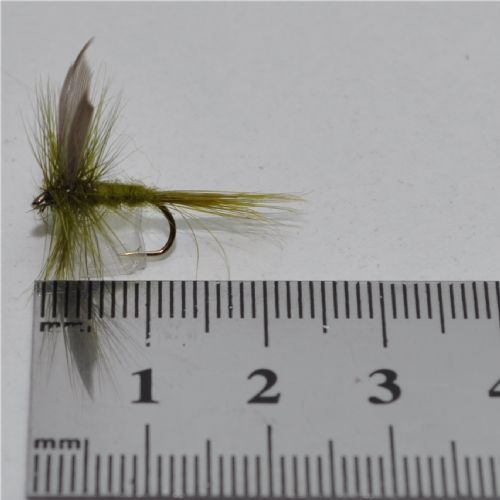 DRY1332 - Oliv Dun - Str.12<br>
