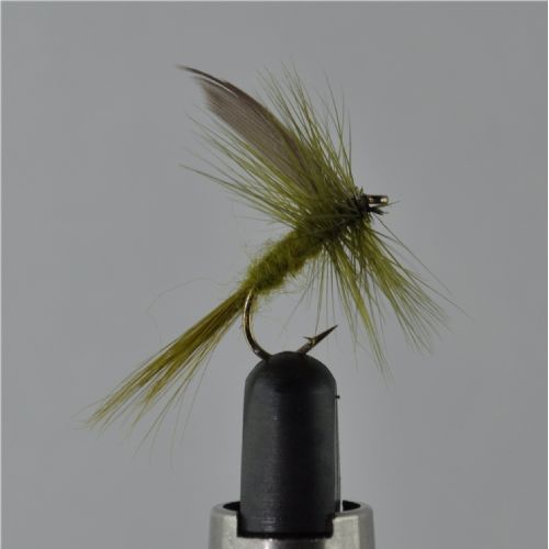 DRY1332 - Oliv Dun - Str.12<br>
