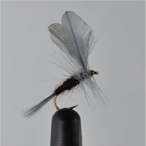 DRY1333 - Maginata Du - Str.12<br>