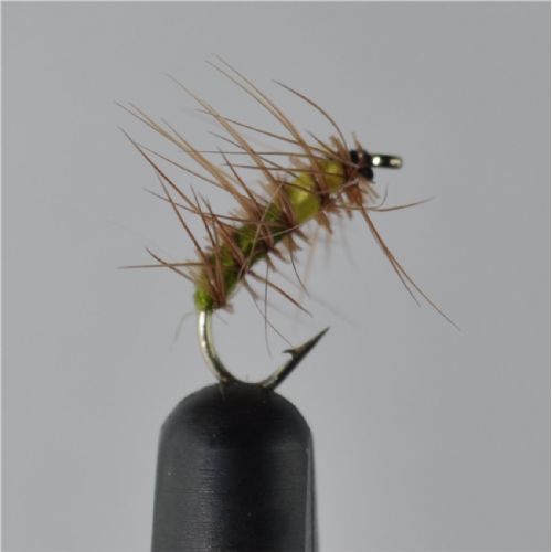 DRY1334 - Superpuppa Olive/yellow - Str.14<br>