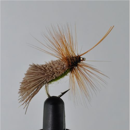 DRY1353 - G&H Sedge Green under - Str.10<br>