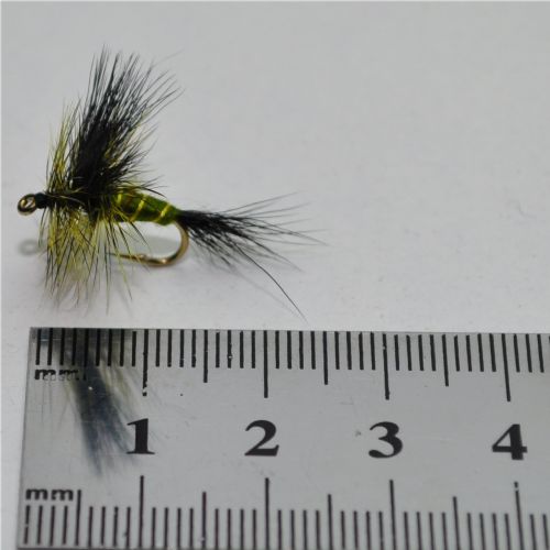 DRY1363 - Green Drake - Str.10<br>