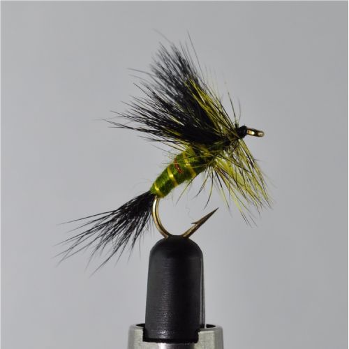 DRY1363 - Green Drake - Str.10<br>