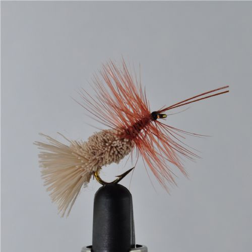 DWS0111 - G&H Sedge  - Str.12<br>