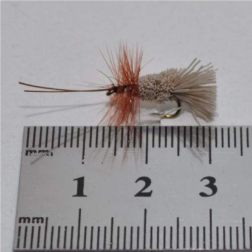 DWS0113 - G&H Sedge - Str.14<br>