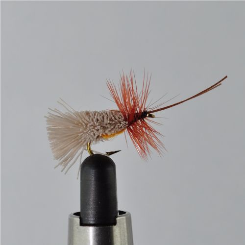 DWS0113 - G&H Sedge - Str.14<br>