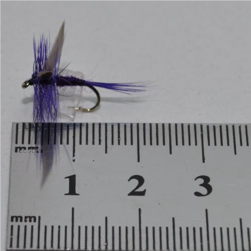 DWS0121 - Deep Purple - Str.12<br>