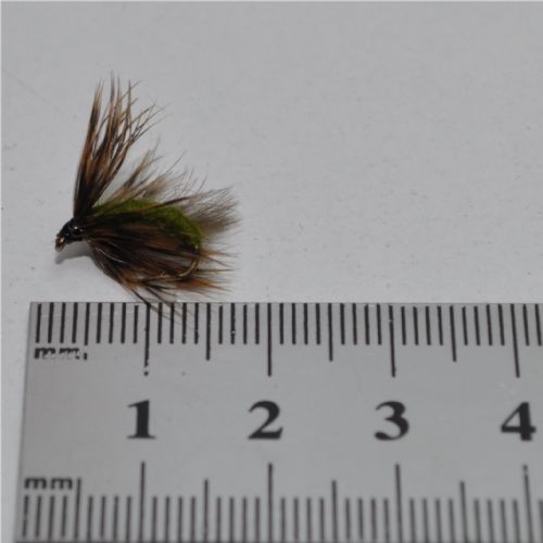 DWS0122 - Dip Caddis Emeger  Olive - Str.14<br>