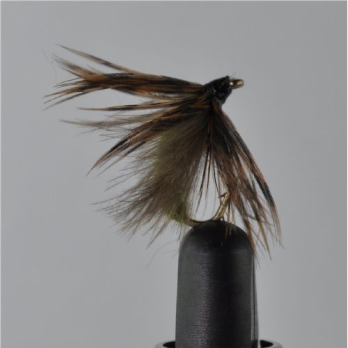DWS0122 - Dip Caddis Emeger  Olive - Str.14<br>
