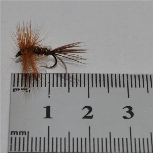 DWS0131 - Pheasant tail - Str.14<br>