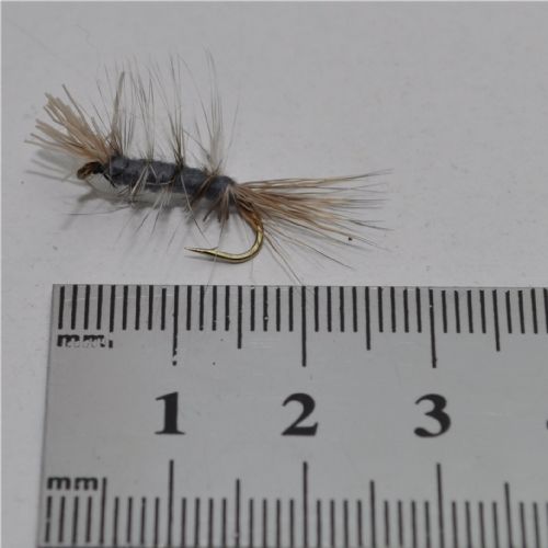 DWS0132 - Dyret - Str.10<br>