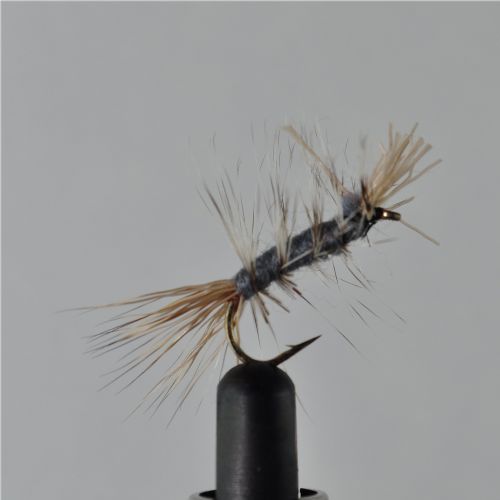 DWS0132 - Dyret - Str.10<br>
