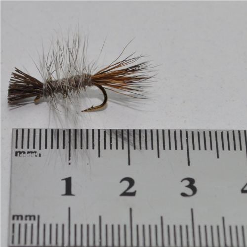 DWS0143 - Dyret - Str.12<br>