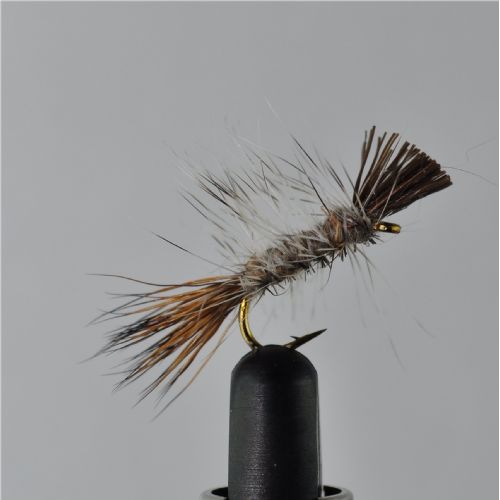 DWS0143 - Dyret - Str.12<br>