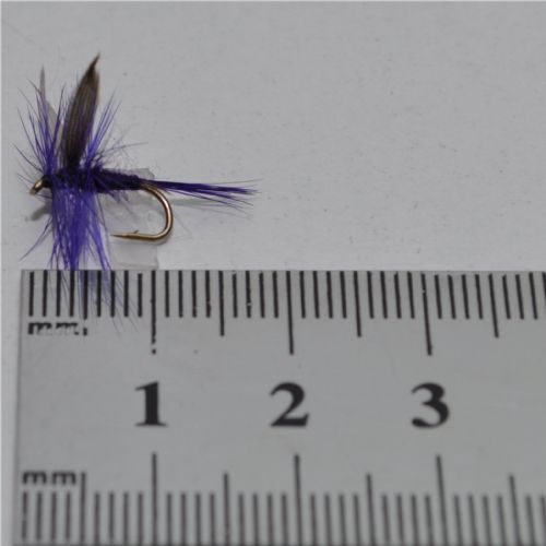 DWS0151 - Deep Purple - Str.14<br>