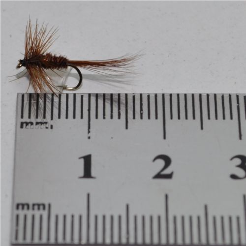 DWS0152 - Pheasant tail - Str.16<br>