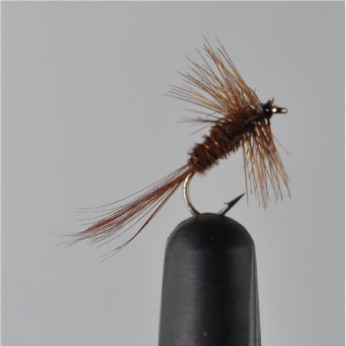 DWS0152 - Pheasant tail - Str.16<br>