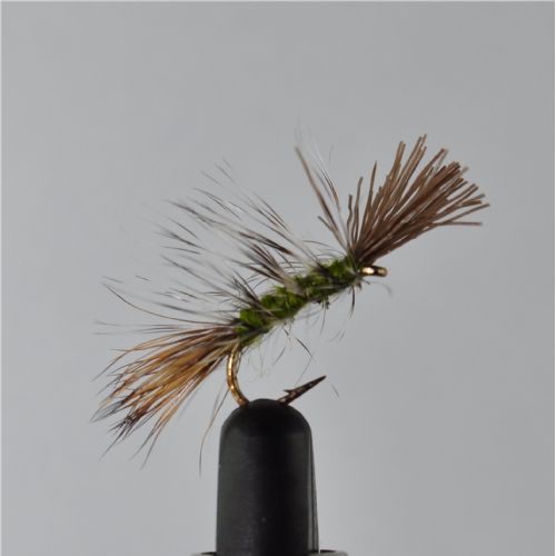 DWS0153 - Dyret - Str12.<br>