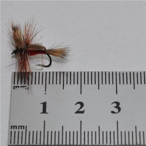 DWS0154 - Red Humphy - Str.14<br>