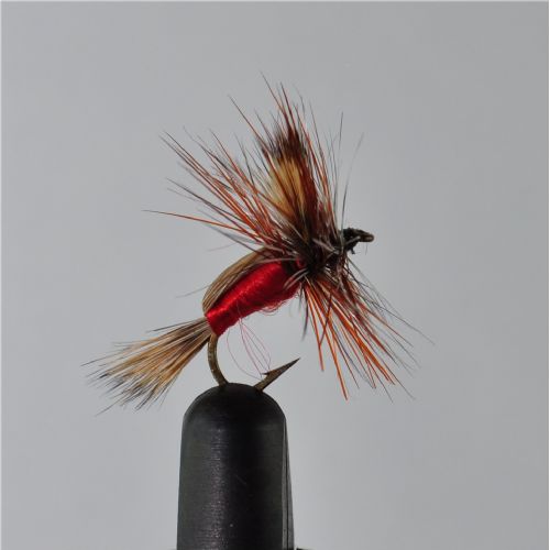 DWS0154 - Red Humphy - Str.14<br>