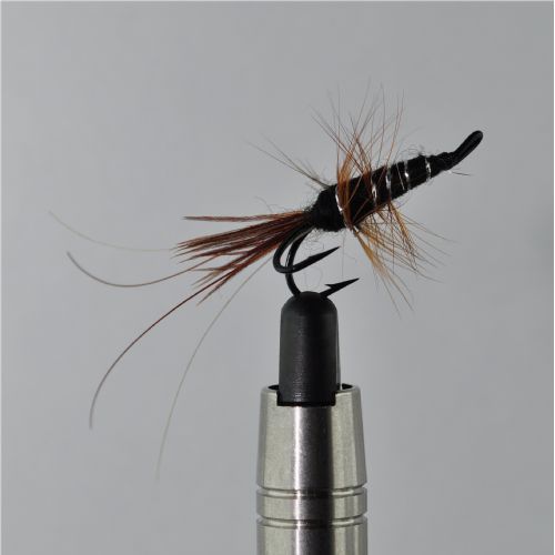 DWS0161 - Frances - Str.8<br>