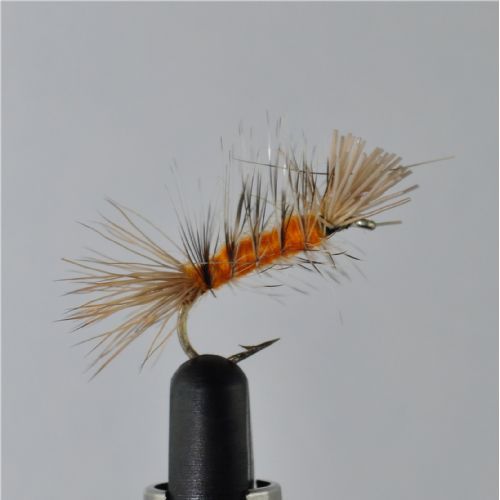 DWS0171 - Dyret - Str8.<br>
