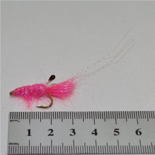 DWS0173 - DF Shrimp - Str6.<br>