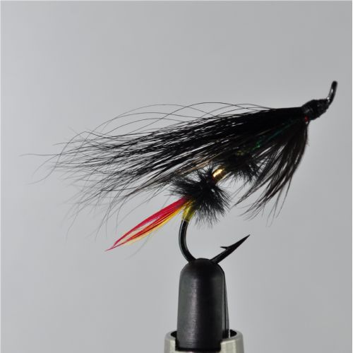 EL0224 - Jock Scott - Str.6<br>