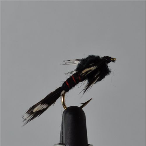 FLY0513 - Black Martinez  - Str.8<br>