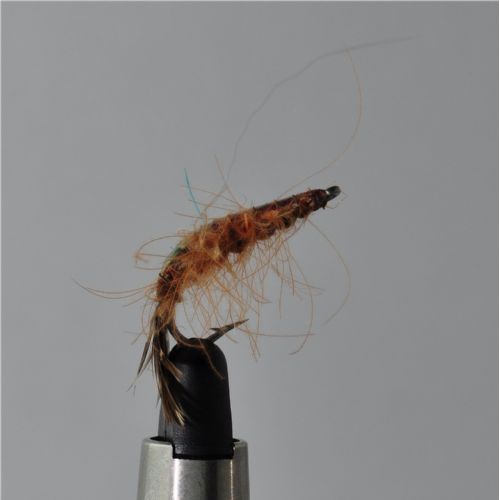 FLY0613 - Loppen Flashback - Str.6<br>