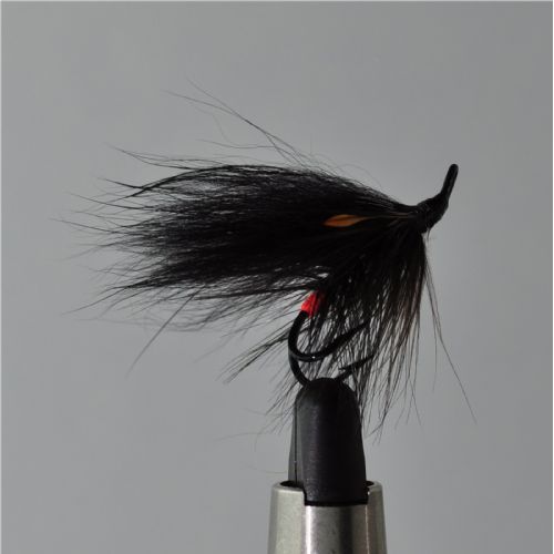 FLY0642 - Midtnight  - Str.8<br>