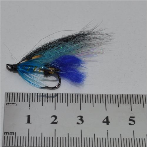 FLY0832 - Sierra Black&Blue silver body - Str.6<br>