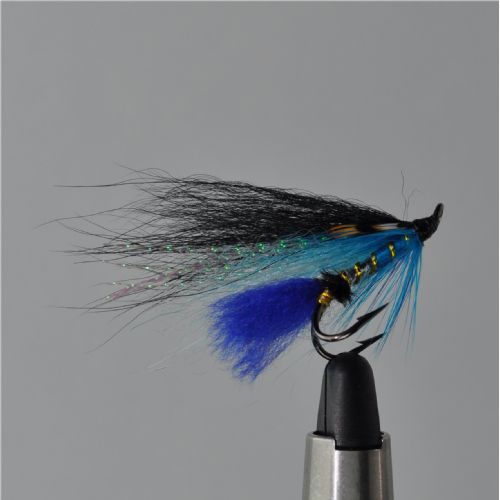 FLY0832 - Sierra Black&Blue silver body - Str.6<br>