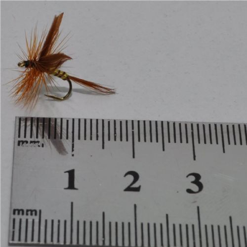 FLY1024 - Verre end Minken - Str.14<br>