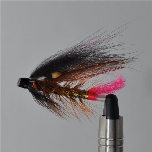 FLY1034 - Tempel Dog Original j.c. 40mm<br>