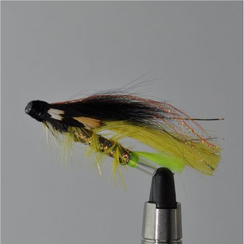 FLY1043 - Original Tempeldog Black Yellow j.c 35mm<br>