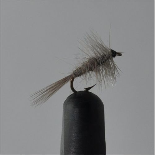 FLY1112 - Erika Favorite - Str.18<br>