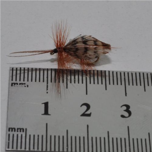FLY1113 - Tape Wing sedge - Str.12<br>