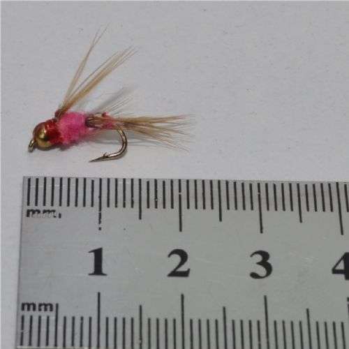 FLY1121 - GH Virus Pink - Str.12<br>