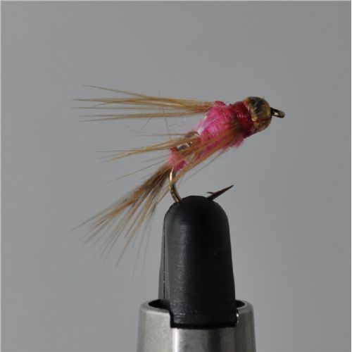 FLY1121 - GH Virus Pink - Str.12<br>